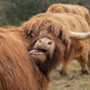 Meet your Posher, Arianna